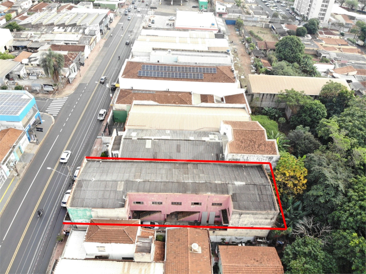 Foto REO1103444