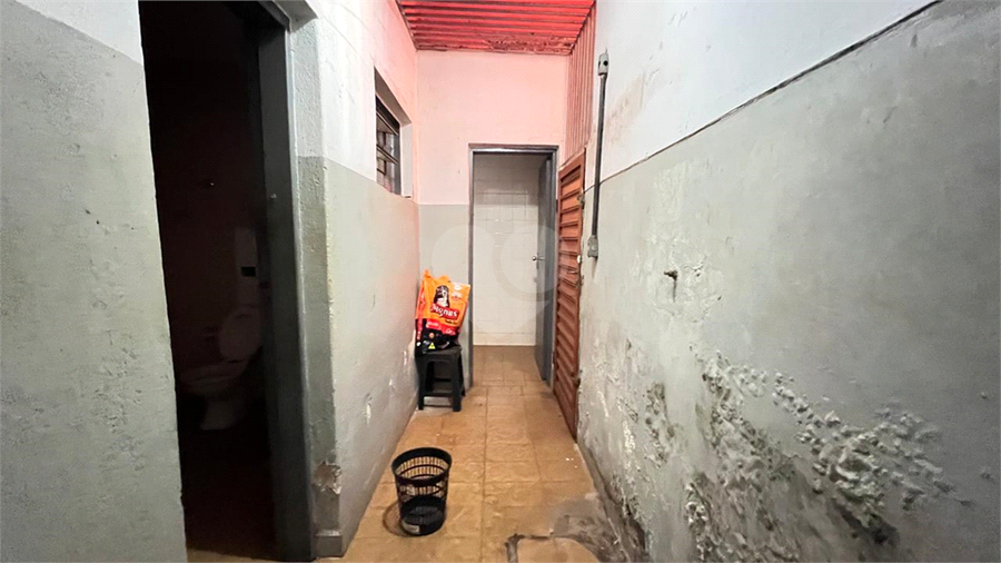 Foto REO1103444