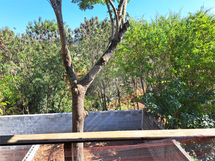 Foto REO1103448