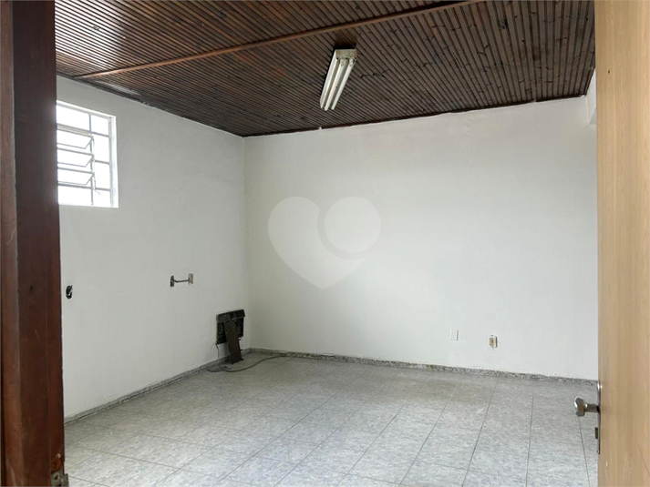 Foto REO1103457