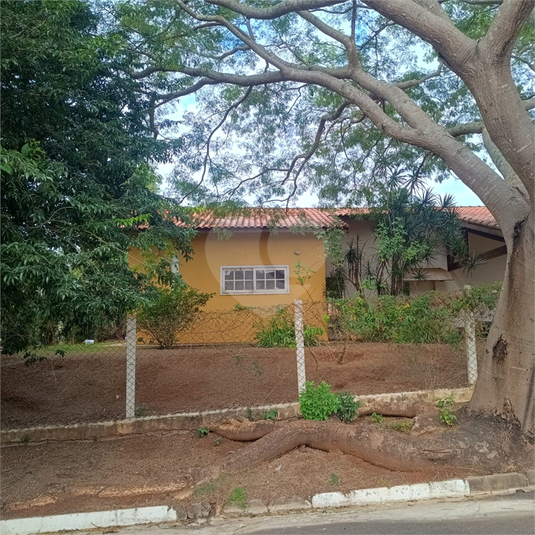 Foto REO1103462