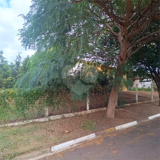 Foto REO1103462
