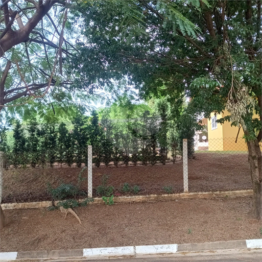 Foto REO1103462