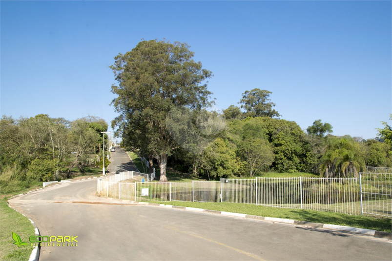 Foto REO1103462