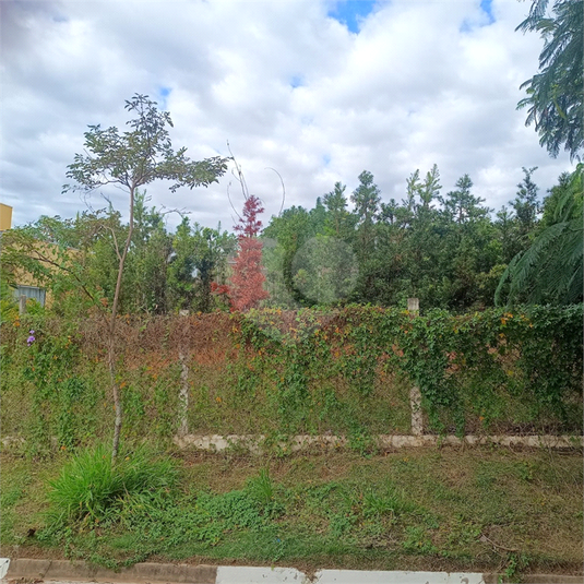 Foto REO1103462