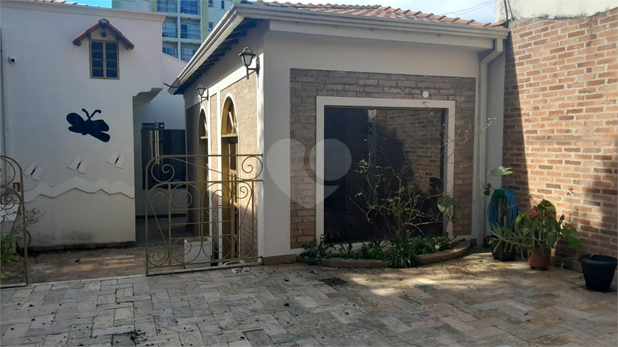 Foto REO1103467
