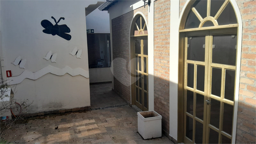 Foto REO1103467