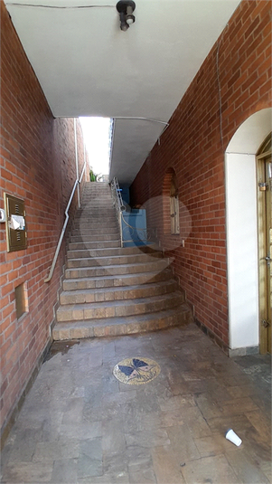 Foto REO1103467