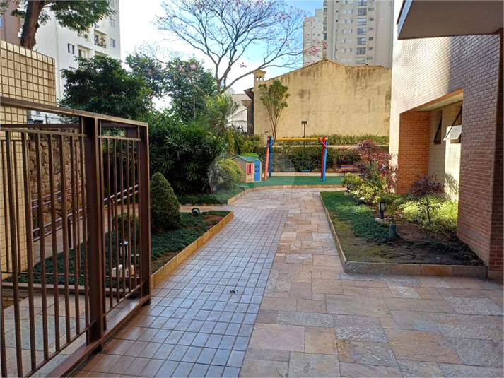 Foto REO1103475