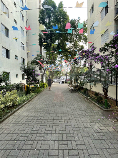 Foto REO1103482