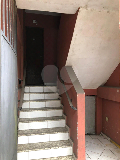 Foto REO1103504