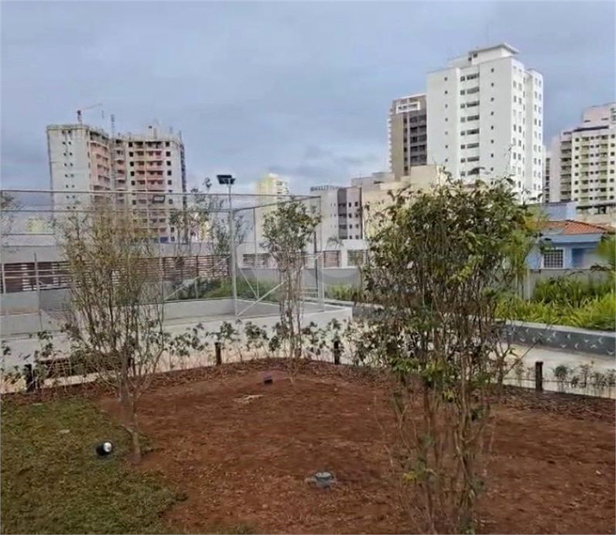 Foto REO1103526
