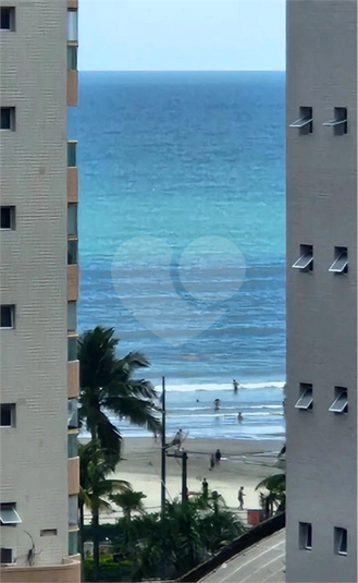 Foto REO1103528