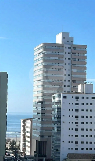 Foto REO1103528