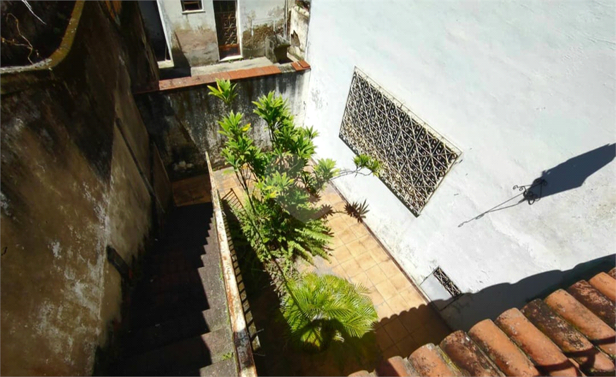 Foto REO1103529