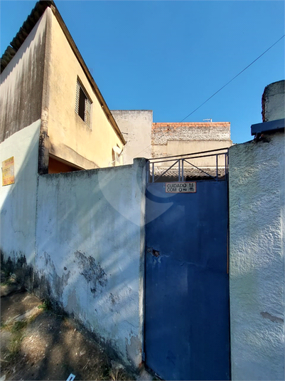 Foto REO1103544