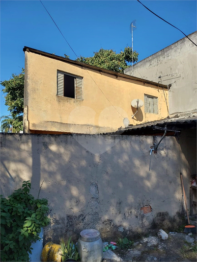 Foto REO1103544