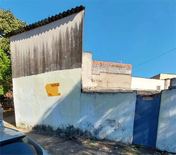 Foto REO1103544