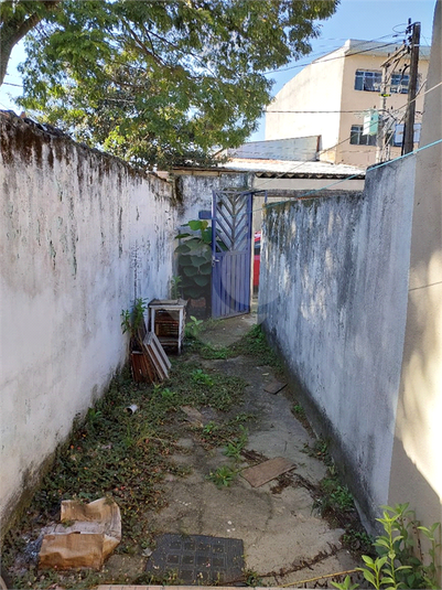 Foto REO1103544