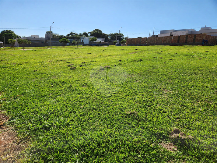 Foto REO1103545