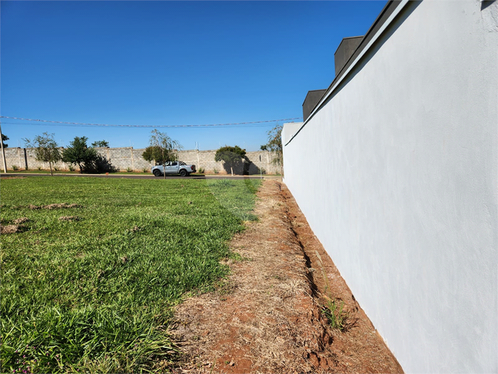 Foto REO1103545