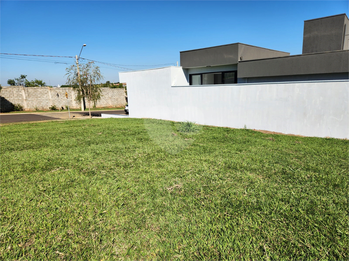 Foto REO1103545