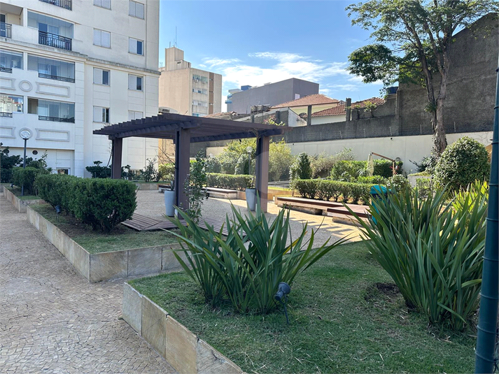 Foto REO1103560