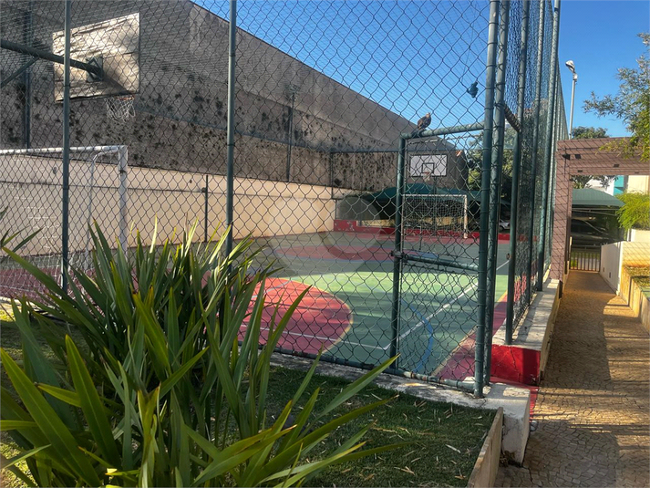 Foto REO1103560