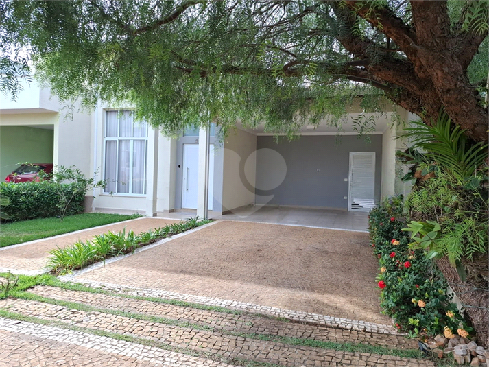 Foto REO1103576
