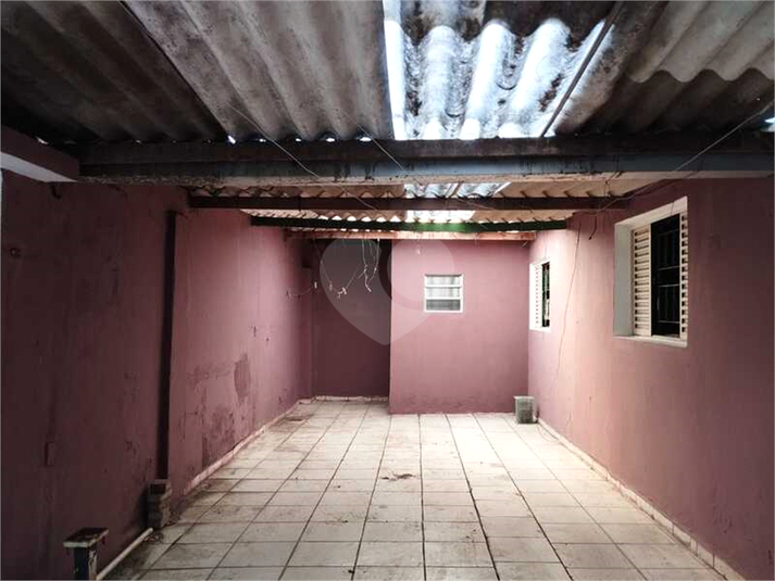 Foto REO1103594
