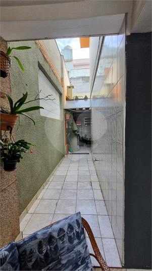 Foto REO1103599
