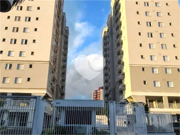 Foto REO1103620