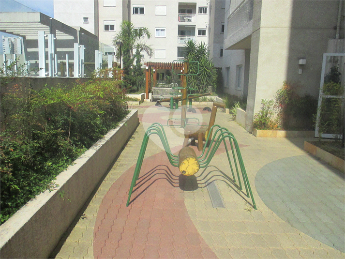 Foto REO1103631