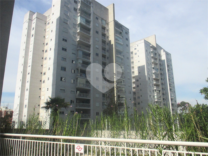 Foto REO1103631