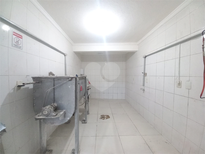 Foto REO1103635