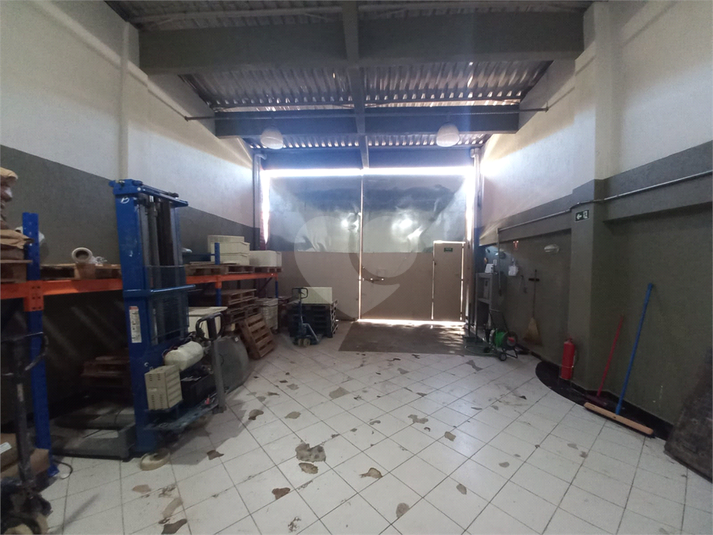 Foto REO1103635