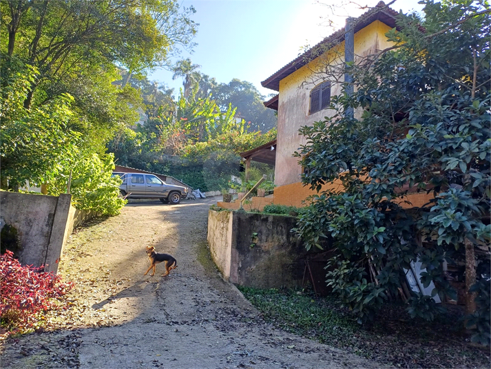 Foto REO1103651