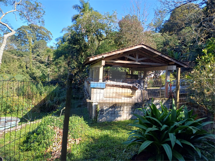 Foto REO1103651