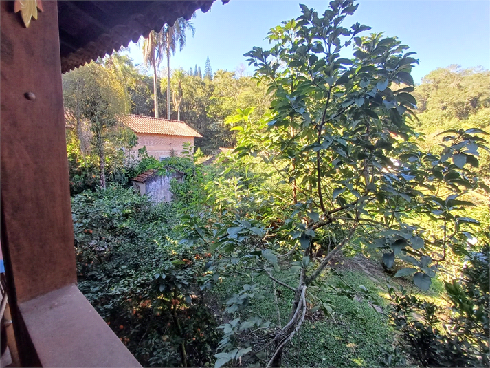 Foto REO1103651