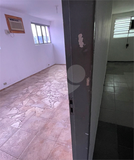 Foto REO1103666