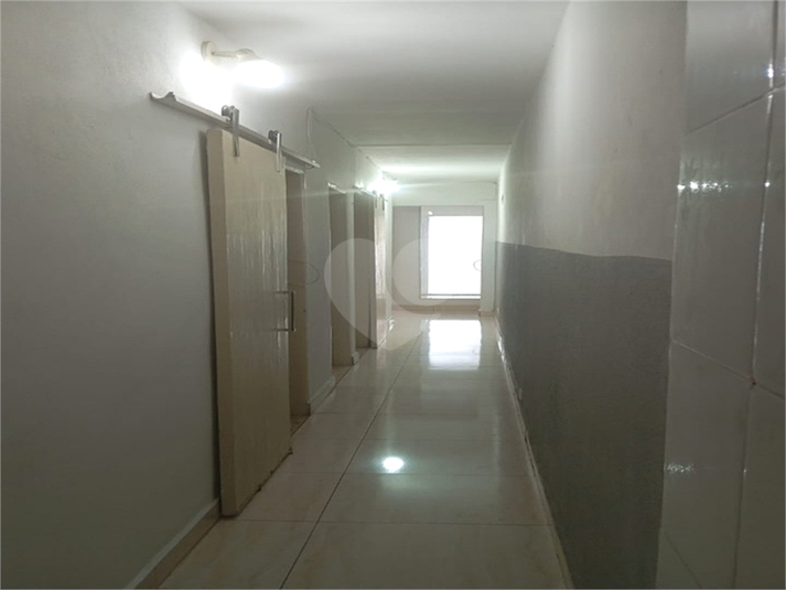 Foto REO1103668
