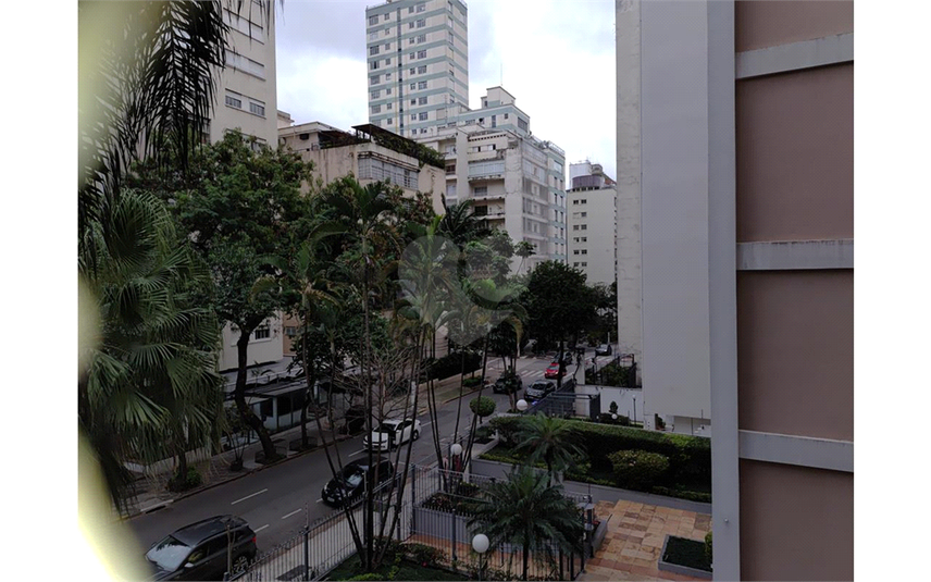 Foto REO1103690