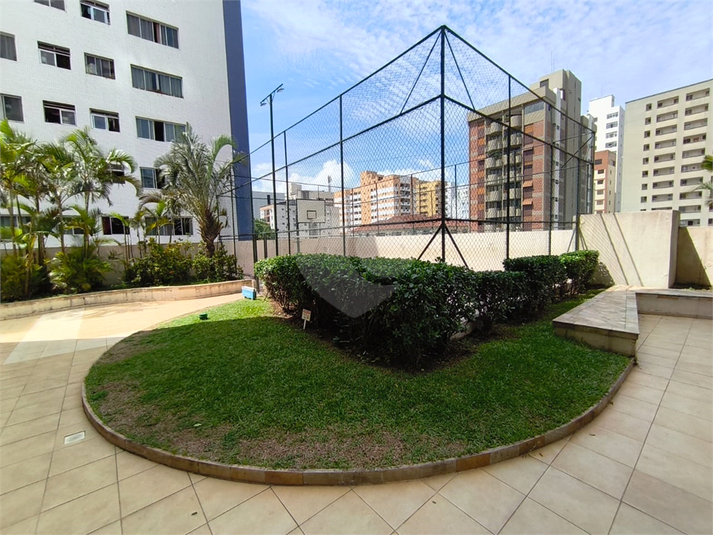 Foto REO1103696