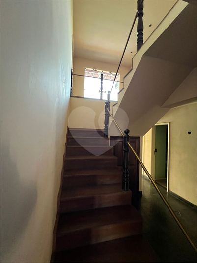 Foto REO1103698