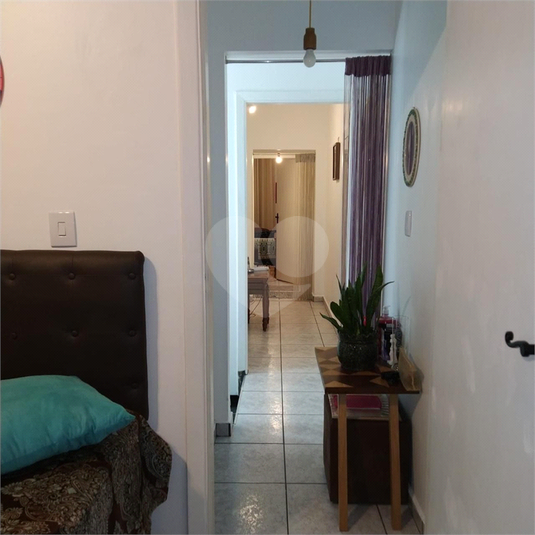 Foto REO1103716
