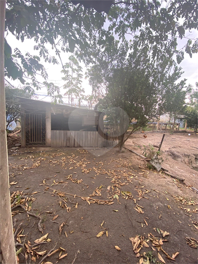 Foto REO1103724