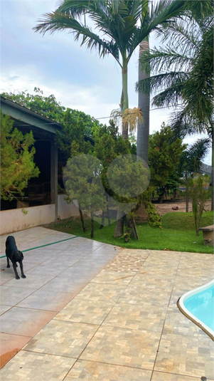Foto REO1103724