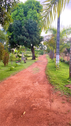 Foto REO1103724