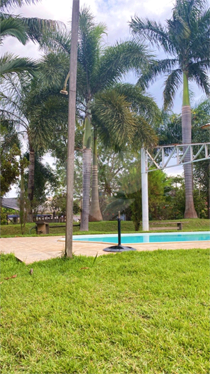 Foto REO1103724