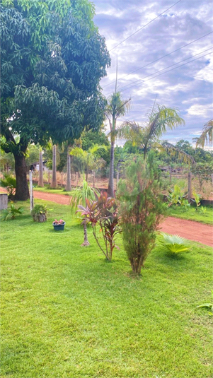 Foto REO1103724